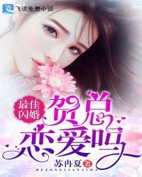 最佳闪婚:贺总,恋爱吗