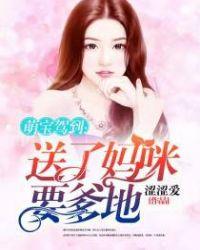 萌宝驾到:送了妈咪要爹地