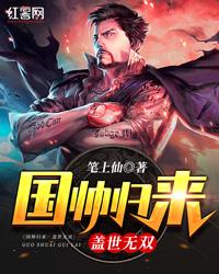 国帅归来:盖世无双