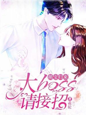 萌宝归来:大boss请接招
