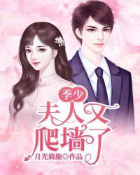 季少,夫人又爬墙了