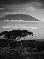 北上无你,我独南行