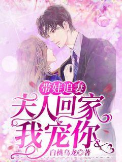 带娃追妻:夫人回家我宠你