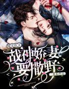 傻夫在下:战神娇妻要撒野