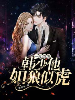 一夜燃情:韩少他如狼似虎