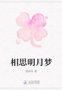相思明月梦