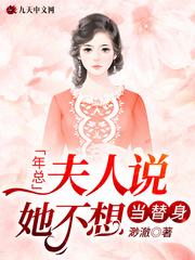 年总,夫人说她不想当替身