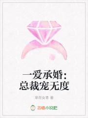 一爱承婚:总裁宠无度