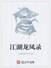 江湖龙凤录