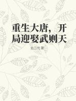 重生大唐,开局迎娶武则天