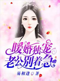 暖婚独宠:老公别着急