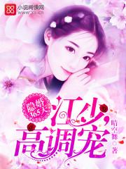 隐婚365天:江少,高调宠!