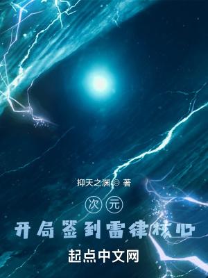 次元:开局签到雷律核心