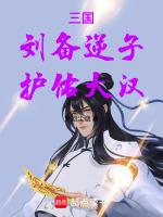 三国:刘备逆子,护佑大汉