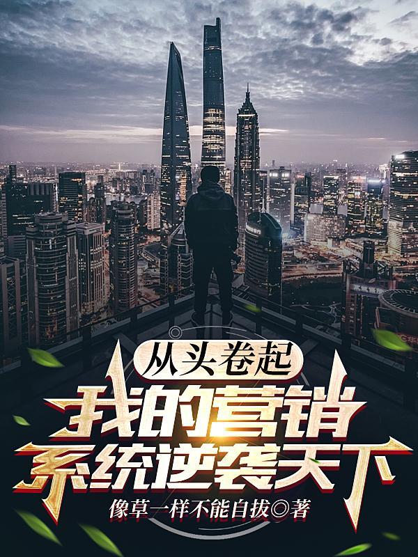 从头卷起,我的营销系统逆袭天下