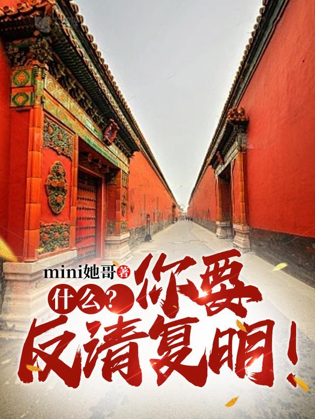 什么?你要反清复明!