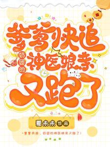 爹爹快追,奶团的神医娘亲又跑了