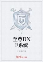 至尊DNF系统