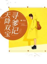 天降双宝寻爹记