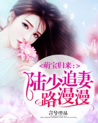 萌宝归来:陆少追妻路漫漫